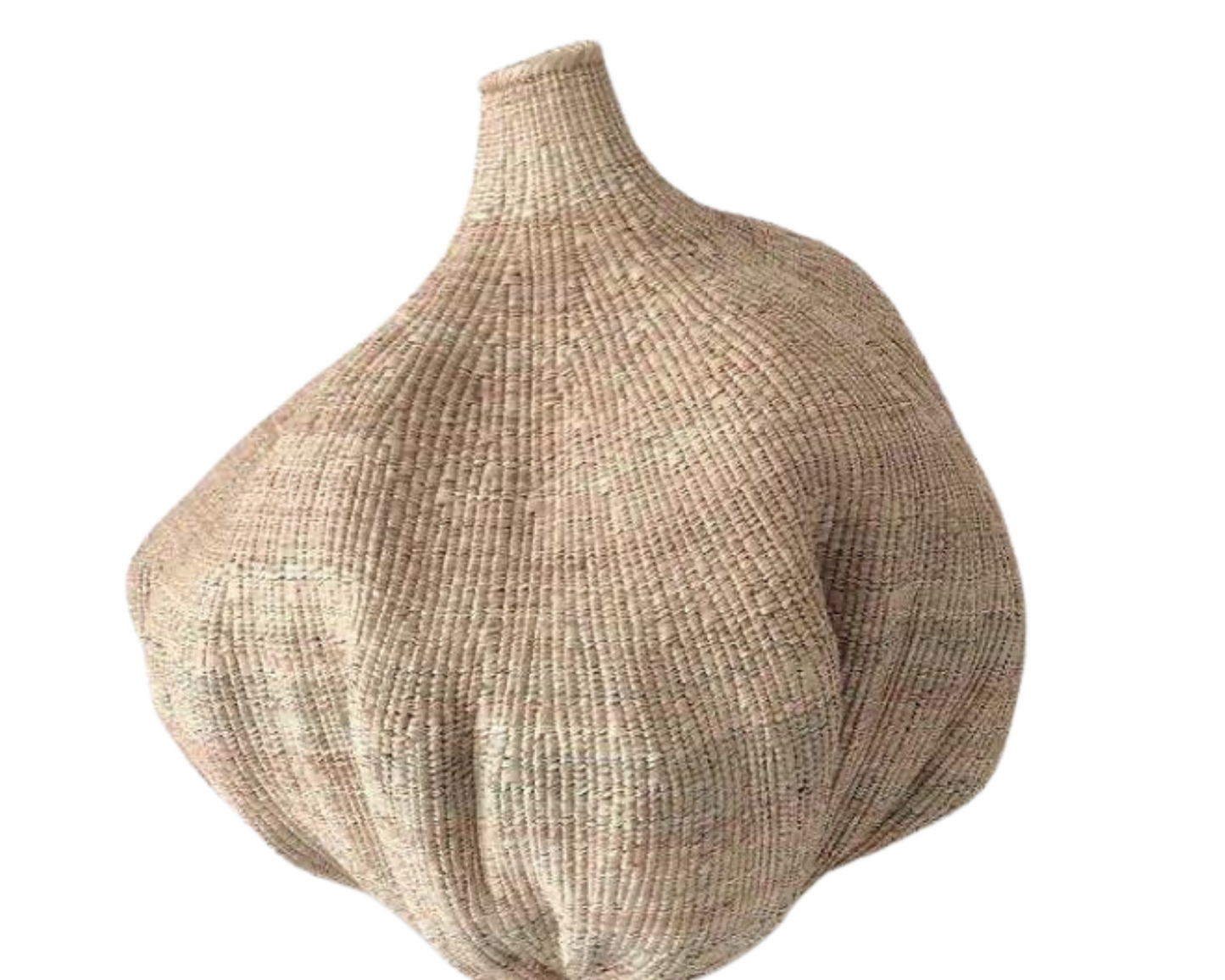 Onion Basket